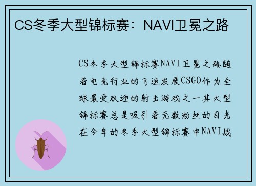 CS冬季大型锦标赛：NAVI卫冕之路