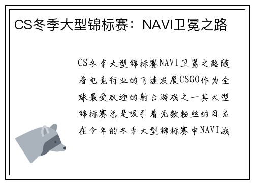 CS冬季大型锦标赛：NAVI卫冕之路